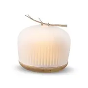 Quiet Aromatherapy Diffuser Glass: 230ML Ultrasonic Cool Mist Scent for Home