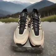 Arcteryx Sylan Pro Rune / Rune New NIB Size 10.5