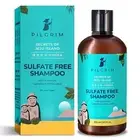 Pilgrim Mild Sulphate Free Shampoo (Argan Oil) For Dry Frizzy Hair,Men and Women