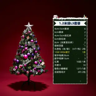 聖誕樹加密家用1.2/1.5/1.8米套餐DIY聖誕節裝飾品環保聖誕樹發光
