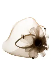 Mesh Net Fascinator--JAY-15069-BR