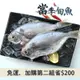 (4包組)龜山島野生肉卿魚(150g、單尾/包)