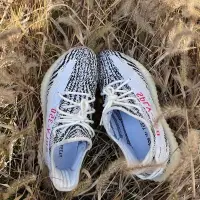 在飛比找蝦皮購物優惠-米斯特 Adidas愛迪達 Yeezy Boost 350 