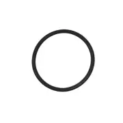 Intex Transparent Adapter O-Ring for 26643EG Krystal Clear Sand Filter Pump