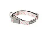 Fab Medium FuzzYard Dog & Puppy Collar - 20mm x 32cm to 50cm