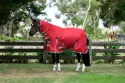 WeatherBeeta ComFiTec Classic Combo Neck Plus Turnout Blanket (50g Medium-Lite)