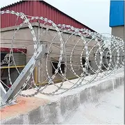 Razor Wire Barbed Wire Razor Wire, Easy to Bend 304 Stainless Steel Barbed Wire Fence, Commercial Residential Secure Sites Repellent Garden Spiral Shape Coils