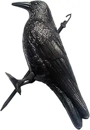 skycabin Natural Scarecrow Fake Crow Decoy for Bird Scarer,Simulation Crow,Realistic Hanging Plastic Crow Decoy to Get Rid of Bird,Crow Away for Garden, Yard, Pool Decoration,
