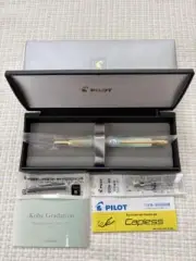 PILOT Capless Decimo 18K Fountain Pen Kobe Gradation Harbour Mint Gold Nib EF