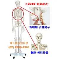 在飛比找蝦皮購物優惠-*免運費~*學校直營商* 【醫療級】人體全身骨骼模型(醫療級