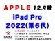 ✰企業採購專用 2022 iPad Pro 12.9吋 (128G/256G/512G/1TB/2TB-WiFI/LTE)