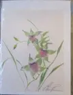 VINTAGE NAN RAE "CYMBIDIUM ORCHID" FRAMEABLE FINE ART CARD 1998 -NEW & SEALED