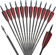 TOPARCHERY Carbon Arrows Hunting Target Practice Arrows 30 Inch with Removable Tips for Compound Bow Recurve Bow Long Bow Spine 600 12PCS