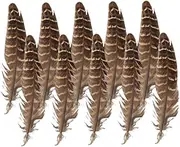 HOODANCOS Unique DIY Craft Materials Natural Pheasant Plumes Quill for Home Event Decor