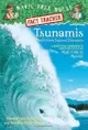 Magic Tree House (Research Guide) Fact Tracker: Tsunamis and Other Natural Disasters