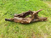 Driftwood Aquarium Fish Tank Landscape Natural Wood Reptile Trunk Deco Real