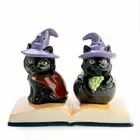 (3pc) Black Cat Salt & Pepper Shaker Set Collectables