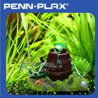 在飛比找Yahoo!奇摩拍賣優惠-【AC草影】PENN-PLAX 龐貝 酒桶之王古拉格斯【一個