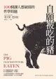 自願被吃的豬：100個讓人想破頭的哲學問題（新版）: The Pig That Wants To Be Eaten: ... - Ebook