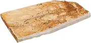 OKUMEYR Wolf-finned Fish Paleontological Sea Creature Specimen Classroom Specimens Fish Science Educational Decoration Ornament Decorations