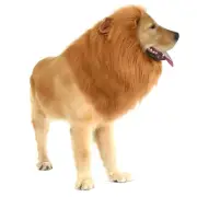 Dog Lion Mane Costume with Ears,Halloween Lion Mane Wig Costume for Medium to...