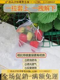 在飛比找樂天市場購物網優惠-防鳥網~葡萄套袋防鳥防蟲專用網袋無花果枇杷芒果蘋果袋草莓水果