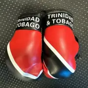 Trinidad & Tobago Flag Mini Gloves Boxing Car Mirror Rearview Hanging Auto Deco