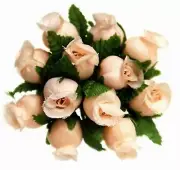144 Miniature Poly Rose Silk Favor Flower Pick Wedding Shower - Peach