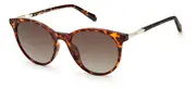 FOSSIL-FOS 3122/G/S-86-5319-SUNGLASSES