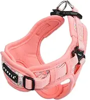 Puppia Kealoha Dog Harness X Fashionable Flower Pattern Spring Summer Harness for Small and Medium Dogs, Pink, Large