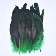 50 Pcs/Lot Colorful Rooster Feathers for Crafts Chicken Decoration DIY Wedding Party Accessories Decor Pheasant Grass EN8