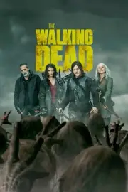 The Walking Dead TWD TV Season 11 Rick Grimes Negan Michonne Carol Daryl FAST