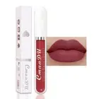 evpct CmaaDu 1Pcs Mauve Plum Red Liquid Matte Lipstick Lipgloss Set for Women,