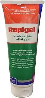 Rapigel Muscle and Joint Squeeze Tube 200 GM