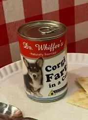 2x Funny Pembroke Welsh Corgi Dog Farts Soup Can Labels Joke Gag GIFT Pet Lover