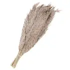 20Pcs Pampas Artificial Grass,17" Fake Pampas for Wedding Decoration, Brown