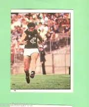 1983 SCANLENS VFL STICKER - #12 DES ENGLISH, CARLTON BLUES