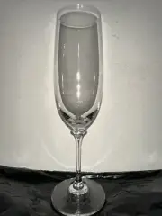 Q77 Fluted Champagne Stephanie Wine or Water Glass by MIKASA