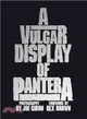 A Vulgar Display of Pantera