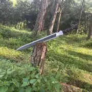 Hand Forged Carbon Steel Viking Sword Sharp Battle Ready Medieval Sword WSheath