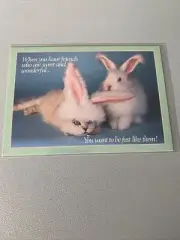 Argus Postcard Kitten Rabbit Friendship Scripture