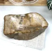 PETRIFIED WOOD DISH, Stone Ring Dish, Petrified Wood Trinket Plate, Soap Dish