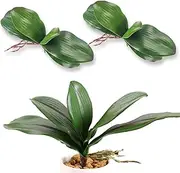 YAFIYGI Orchid Leaves Artificial Artificial Orchid Leaves Real Touch Phalaenopsis Stems Faux Cymbidium Flower Foliage Green Artificial Orchid Bulk 2Pack Lifelike Orchid Leaf Decor Faux Orchid 8 Inches