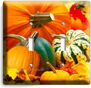 PUMPKINS SQUASH HARVEST DOUBLE LIGHT SWITCH WALL PLATE COVER KITCHEN DINING ROOM