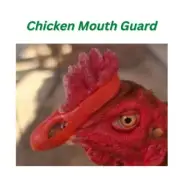 12 pcs X Chicken Mouth Guard Protection Injury Rooster Cock Safety Mitt Rubber