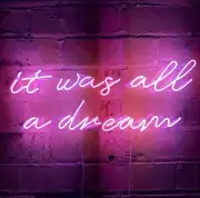 It Was All A Dream Pink Acrylic 20" Neon Sign Light Lamp With Dimmer