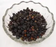 Juniper Berries Whole Dried Berries 1 oz. BUY ONE GET ONE FREE