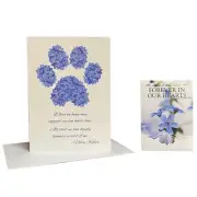 Pet Sympathy Card & Forget Me Not Seed Packet Memorial Gift Set F-M-N