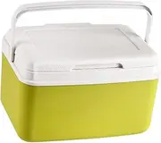 koolsoo Insulated Cooler Box Car Refrigerator Fridge Cold Storage Ice Retention Cooler Ice Chest Small for Picnic Barbecue Outdoor
