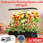 Green Fingers Hydroponics Growing System with LED lights for vegetables, flowers